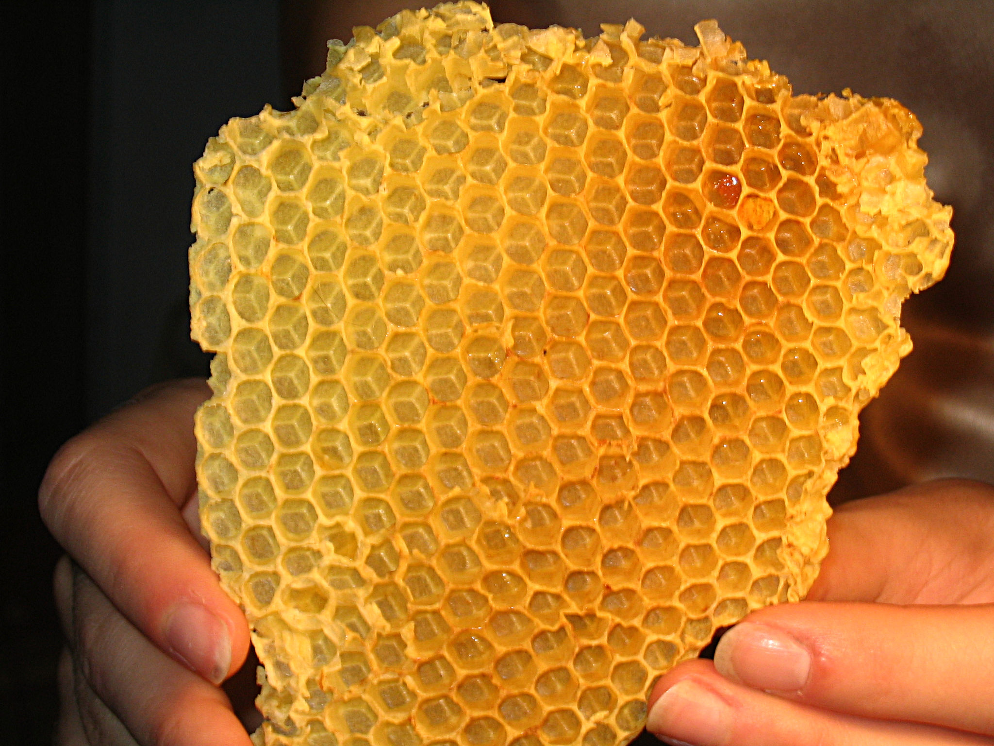 Beeswax